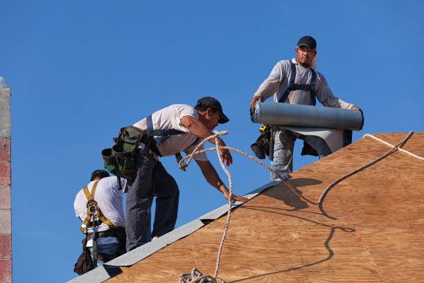 Best Roof Maintenance Services  in Richland, GA
