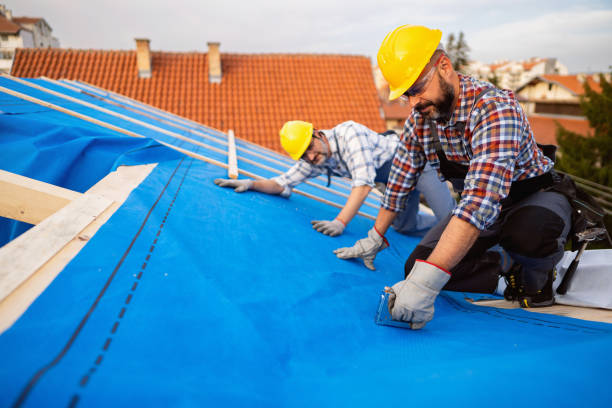 Best Shingle Roofing Installation  in Richland, GA